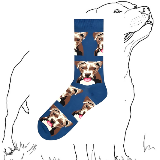 Staffordshire Terrier Dog Sock