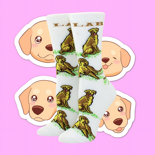 Lil Labrador